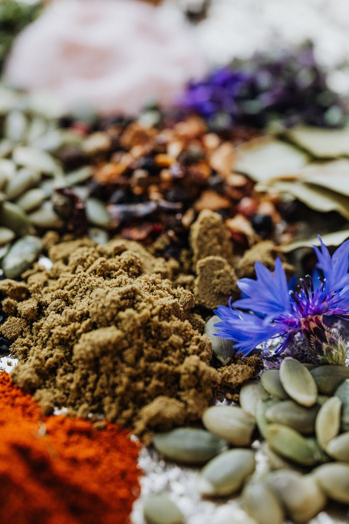 Close-up of a vibrant variety of spices, seeds, and a cornflower, showcasing rich textures and colors.