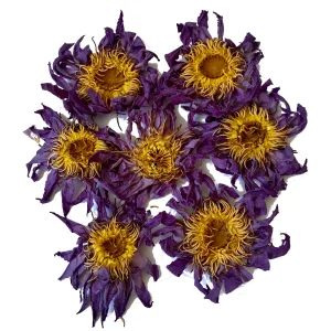 organic dried whole blue lotus flowers – 50 g (copy)